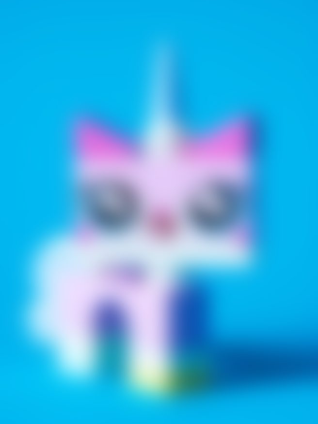 Mega Blocks Unicorn Kit